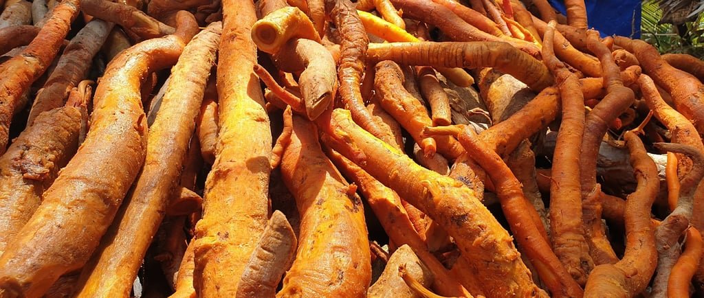 The Challenge Principle : Why Discipline Outperforms Quick Fixes.