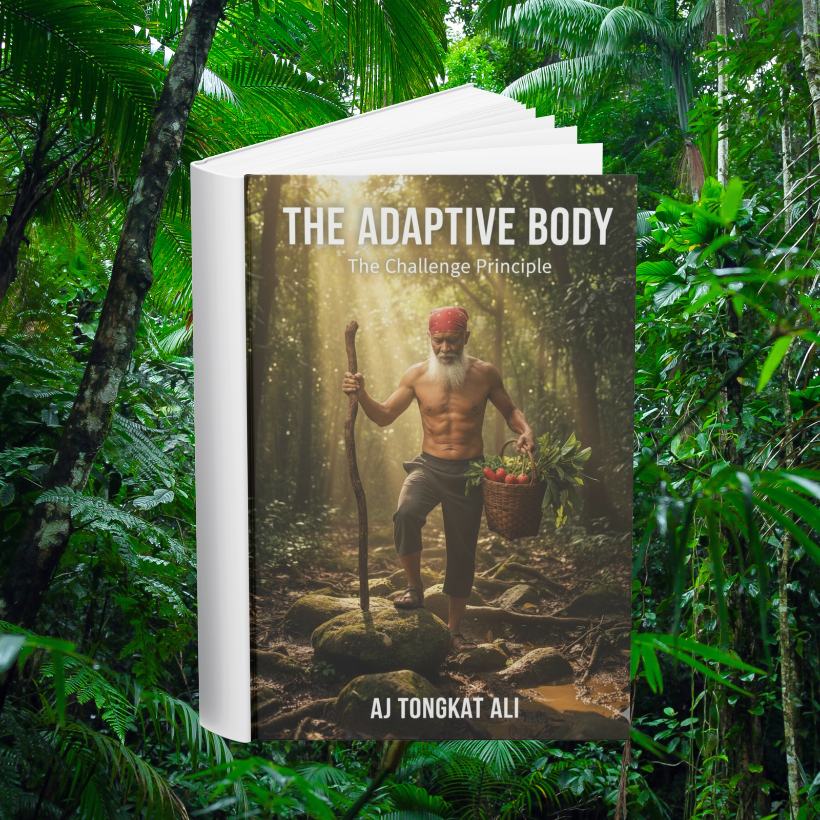 Home featured image for book section