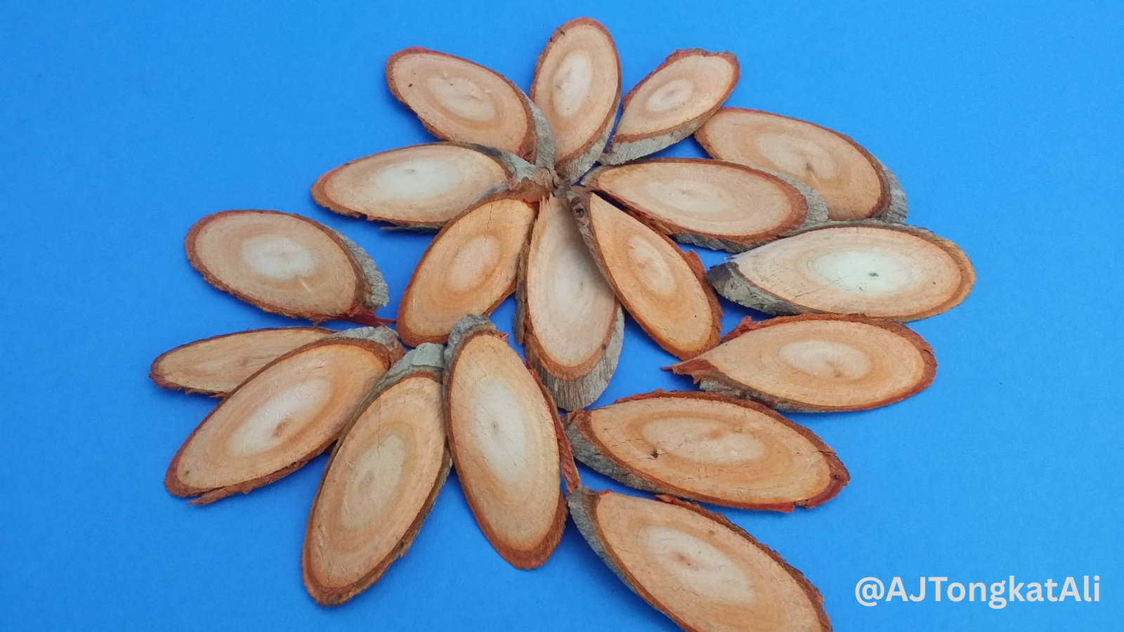 Red Tongkat Ali Slice For X.com