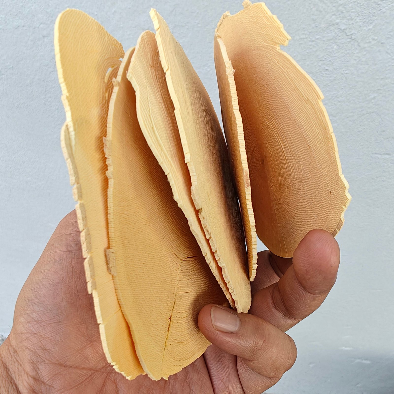 Tongkat Ali Roots Sliced And Dried1 Scaled